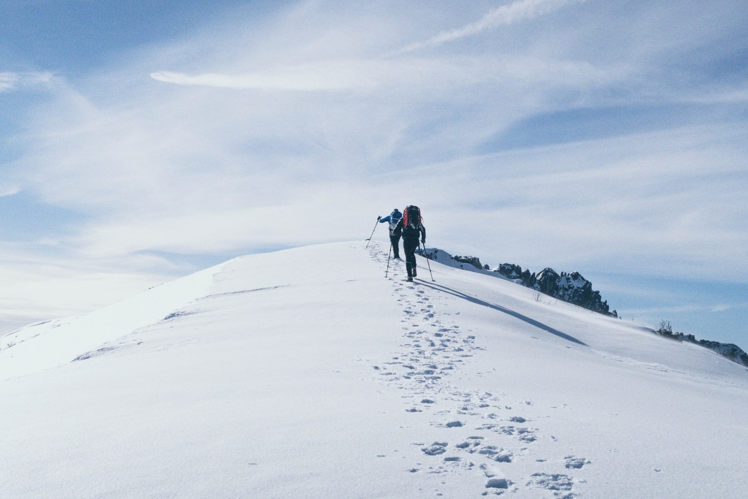 The Benefits of Expert Guidance in the Wild