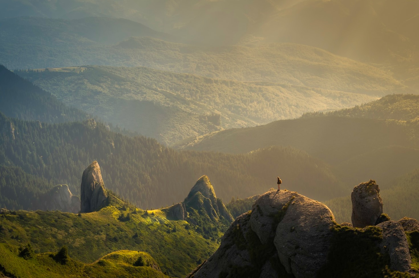 Discovering the Joy of Outdoor Exploration